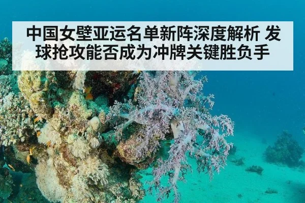 中国女壁亚运名单新阵深度解析 发球抢攻能否成为冲牌关键胜负手